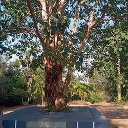 ಕಂದಾವರ ಕೊಂಗವಲ್ಲಿ ಮನೆ - ಚಿತ್ರ 14